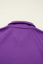 Wisteria Half Zip Sporty Pullover Mini Skirt 2pcs Outfit