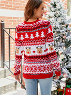 Blue Zone Planet |  Christmas Round Neck Sweater