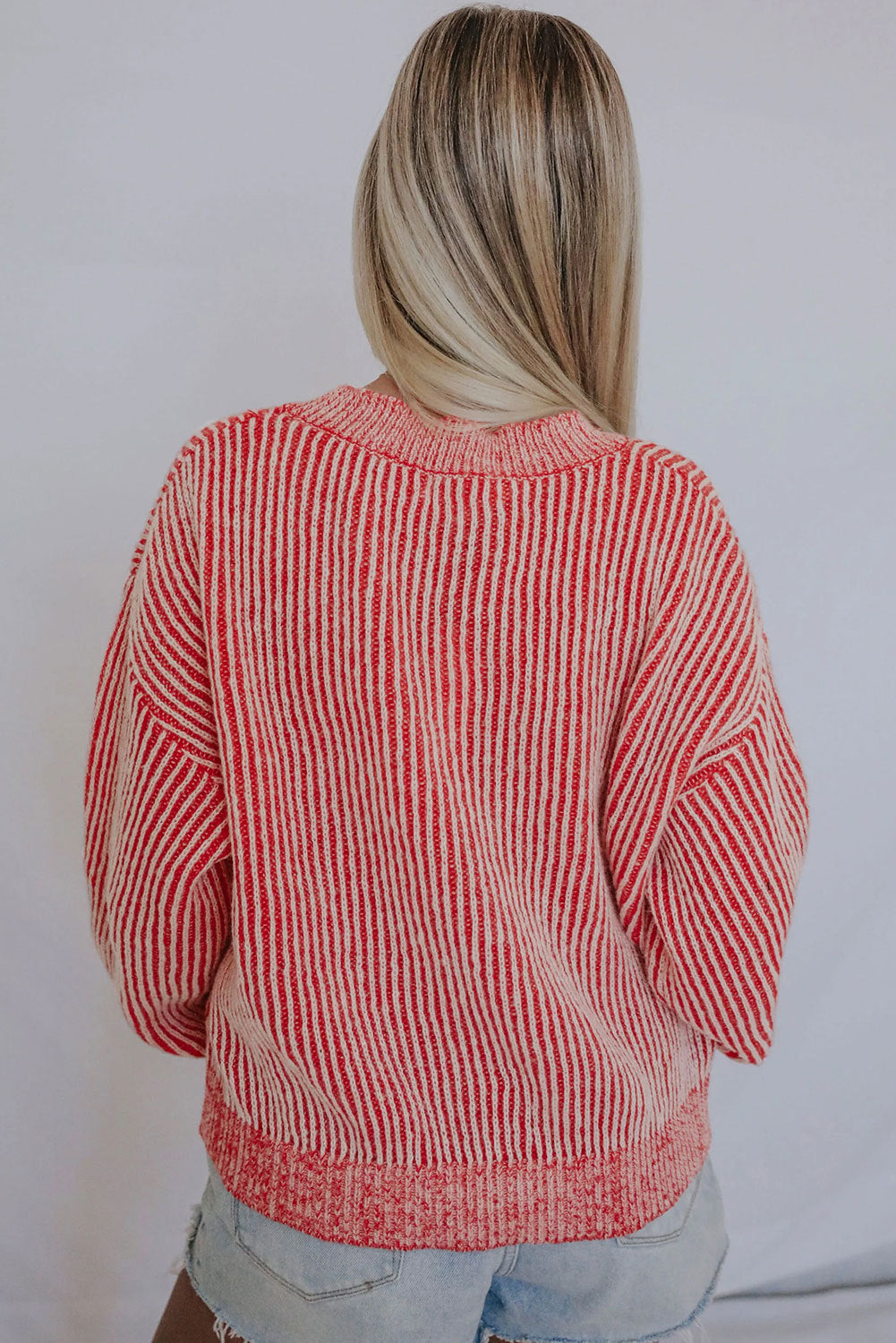 Blue Zone Planet |  Dropped Shoulder Round Neck Sweater