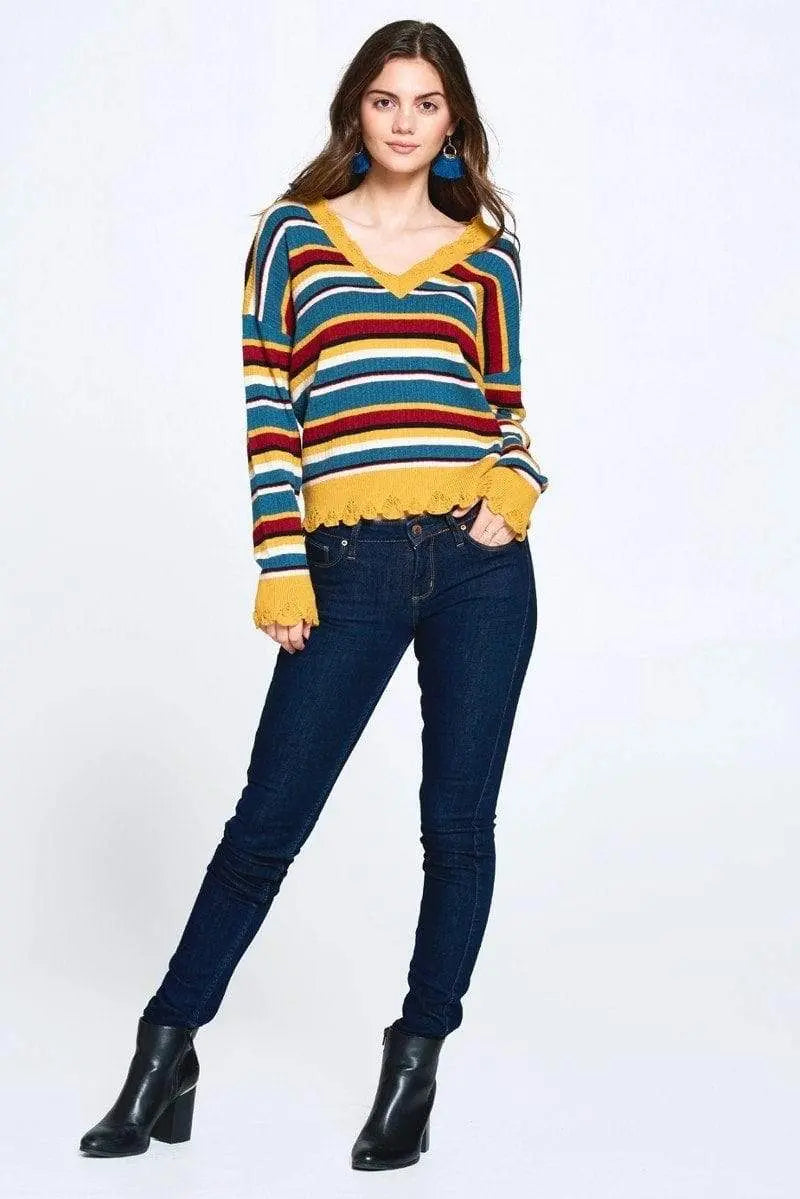 Blue Zone Planet |  Multi-colored Variegated Striped Knit Sweater
