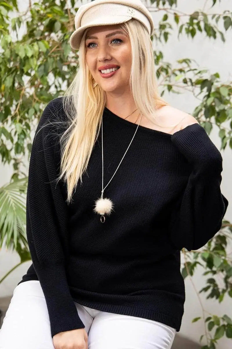 Blue Zone Planet |  Round Neck Long Sleeve Solid Sweater