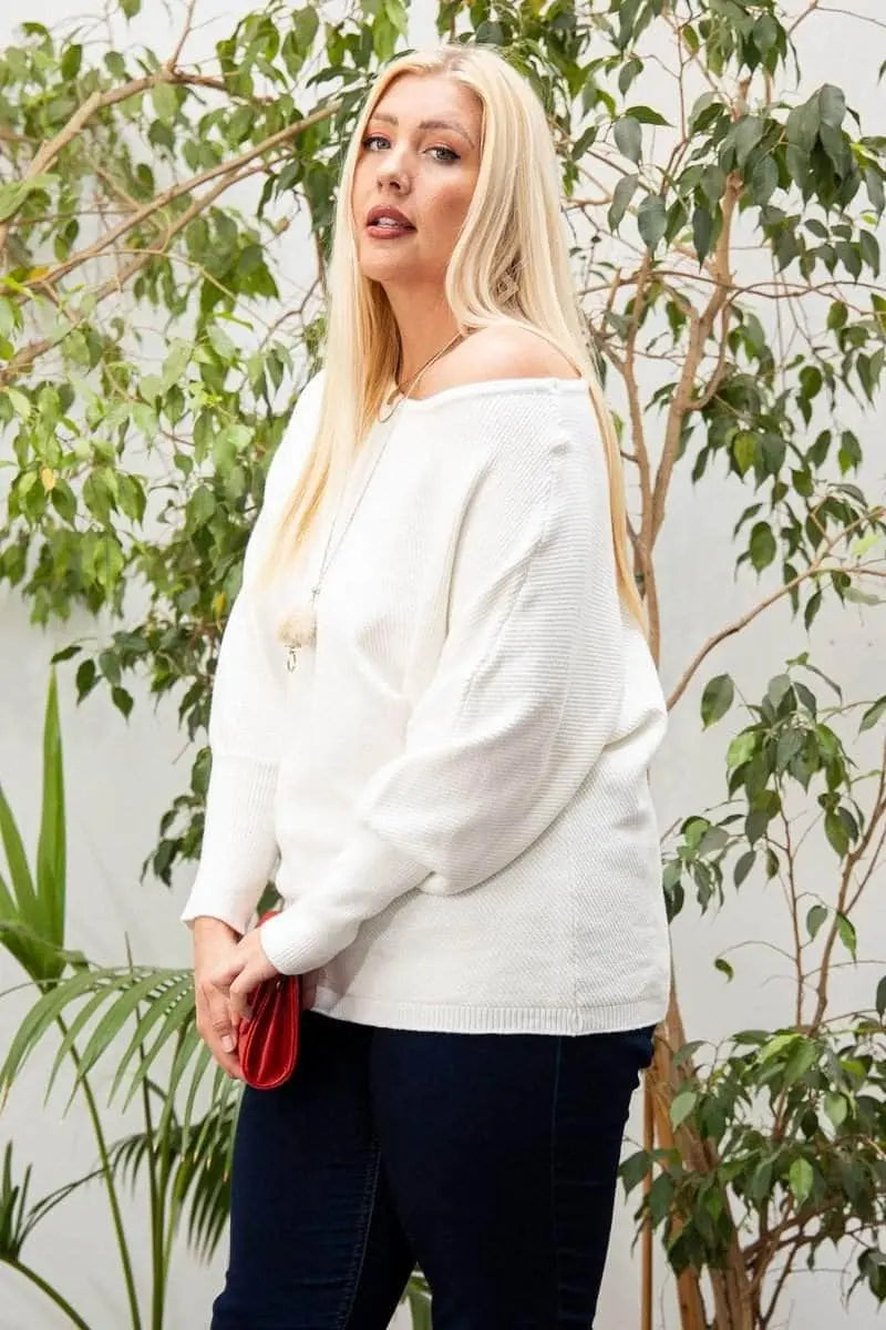 Blue Zone Planet |  Round Neck Long Sleeve Solid Sweater