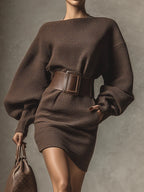 Women's Dark Brown Versatile Mini Dress - Slim Fit, Long Sleeve, V-Neck - Perfect for Layering