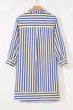 Blue Stripe Collared Half Button Side Pockets Loose Fit Mini Dress
