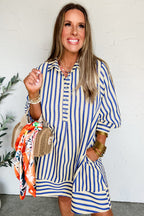 Blue Stripe Collared Half Button Side Pockets Loose Fit Mini Dress