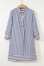 Blue Stripe Collared Half Button Side Pockets Loose Fit Mini Dress