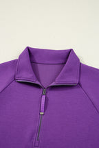 Wisteria Half Zip Sporty Pullover Mini Skirt 2pcs Outfit