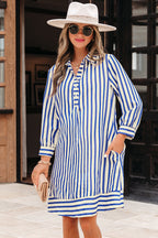 Blue Stripe Collared Half Button Side Pockets Loose Fit Mini Dress