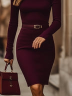 Sleek Burgundy High-Stretch Cotton Dress with Turtleneck